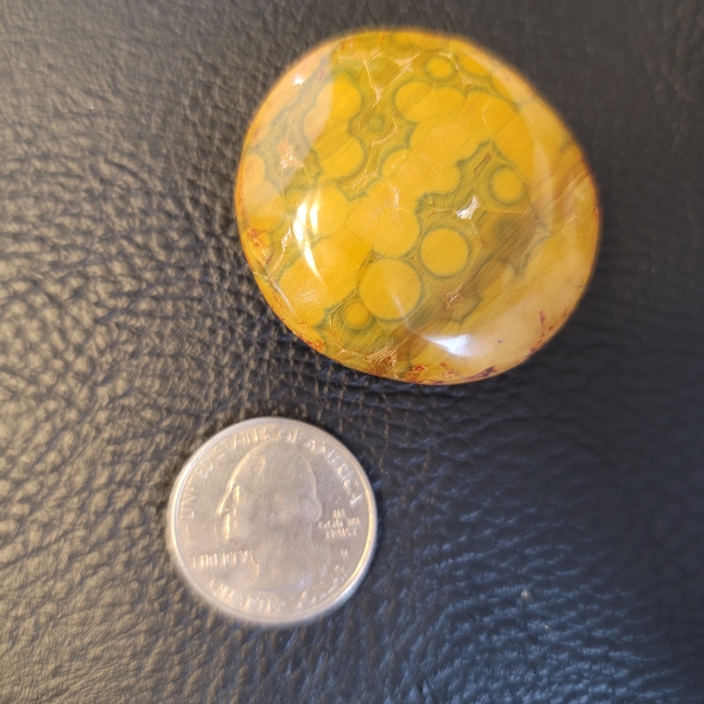 Kabamy Ocean Jasper Palm Stone, 1.75" Diameter, Dark Green & Golden Yellow